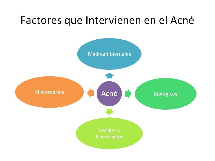 Factores que Intervienen en el Acné Medioambientales Alimentarios Acné Sociales y Psicológicos Biológicos 