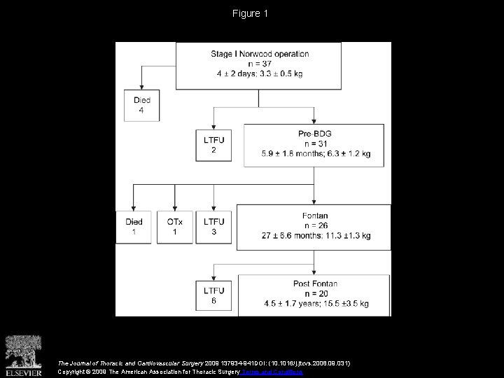 Figure 1 The Journal of Thoracic and Cardiovascular Surgery 2009 137934 -941 DOI: (10.