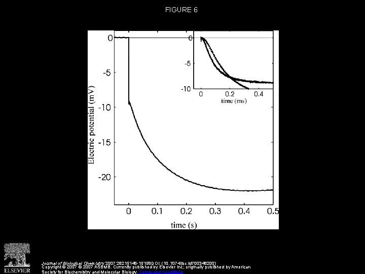 FIGURE 6 Journal of Biological Chemistry 2007 28215148 -15158 DOI: (10. 1074/jbc. M 700348200) FIGURE 6 Journal of Biological Chemistry 2007 28215148 -15158 DOI: (10. 1074/jbc. M 700348200)