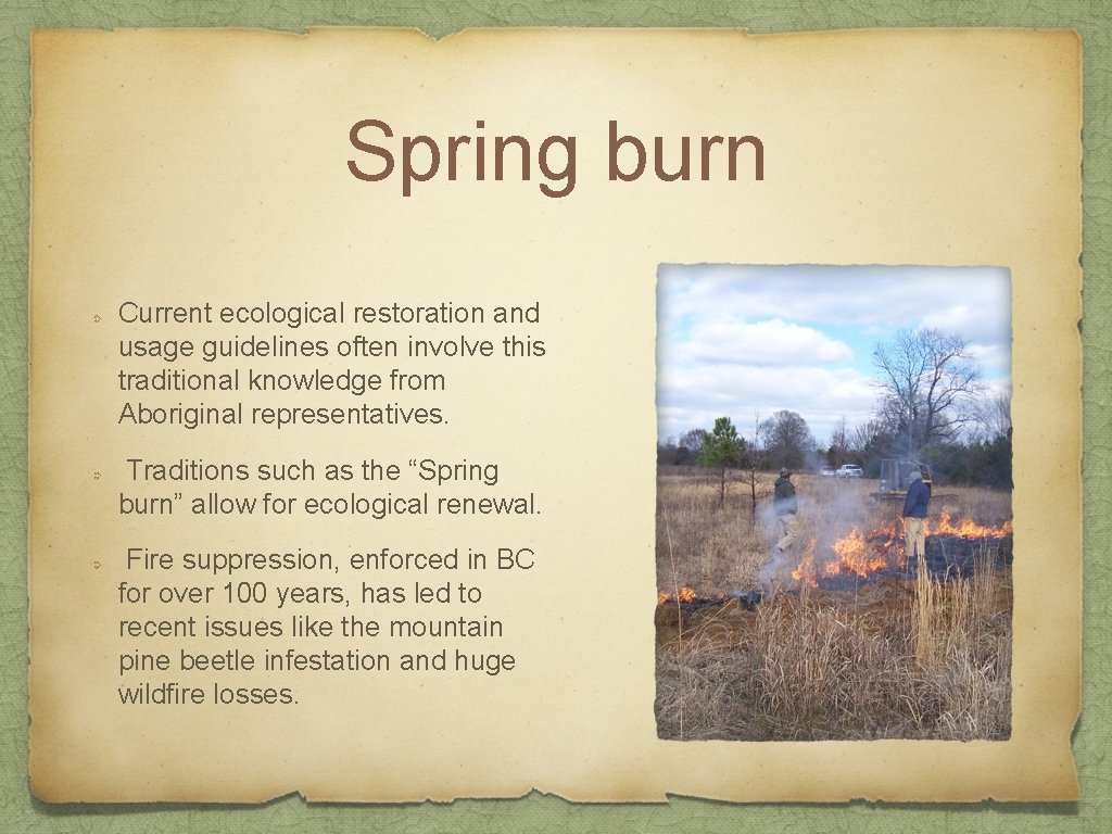 Spring burn Current ecological restoration and usage guidelines often involve this traditional knowledge from