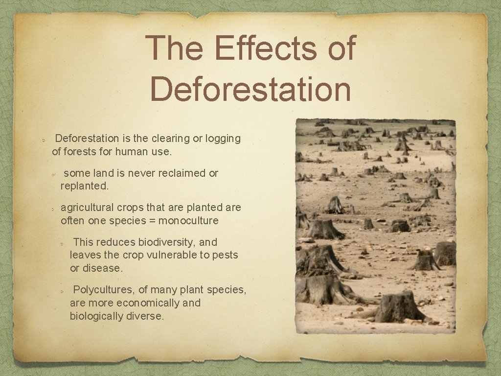 The Effects of Deforestation is the clearing or logging of forests for human use.