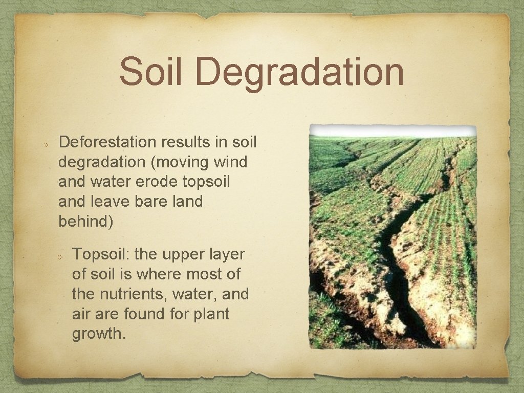 Soil Degradation Deforestation results in soil degradation (moving wind and water erode topsoil and