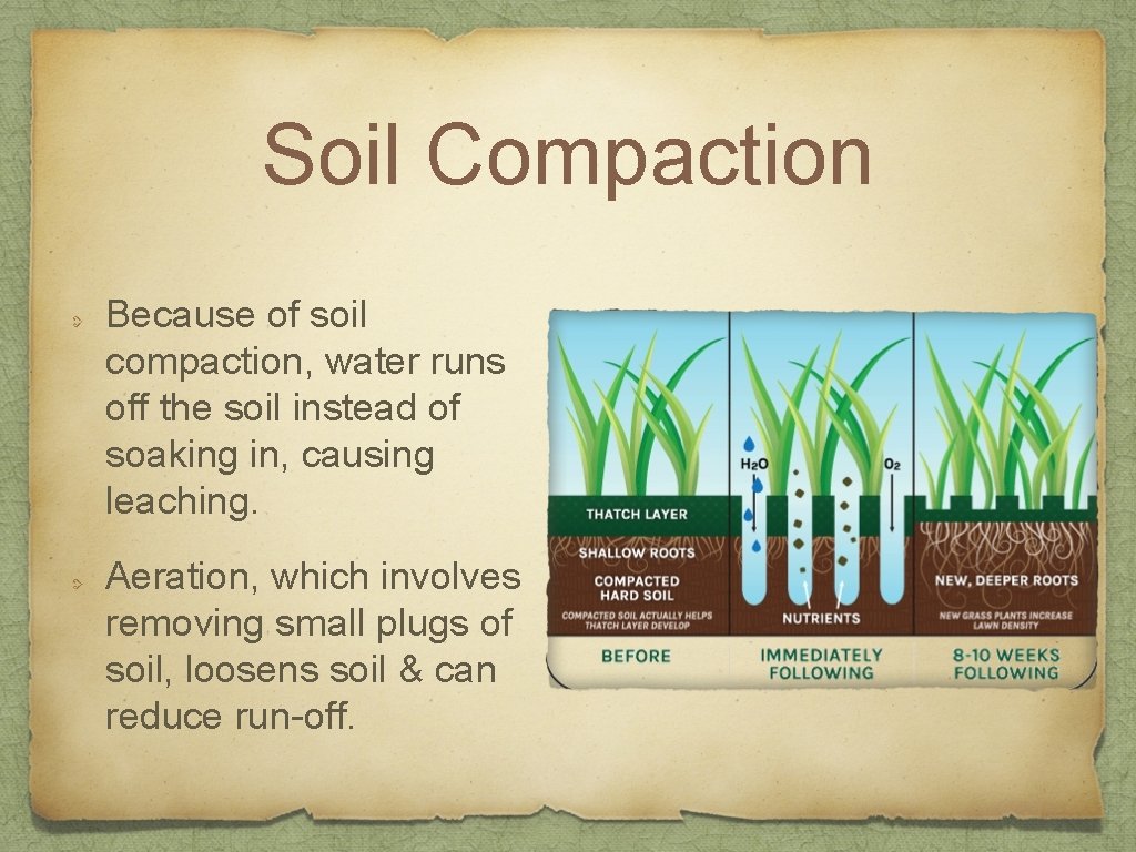 Soil Compaction Because of soil compaction, water runs off the soil instead of soaking