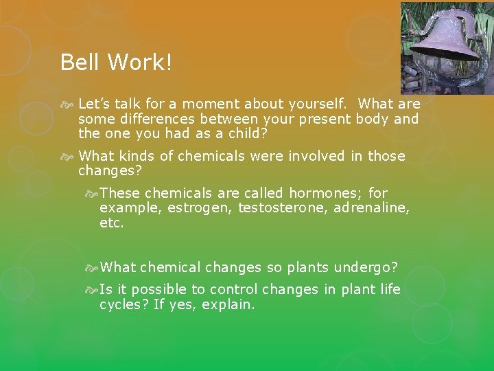 Bell Work! Let’s talk for a moment about yourself. What are some differences between