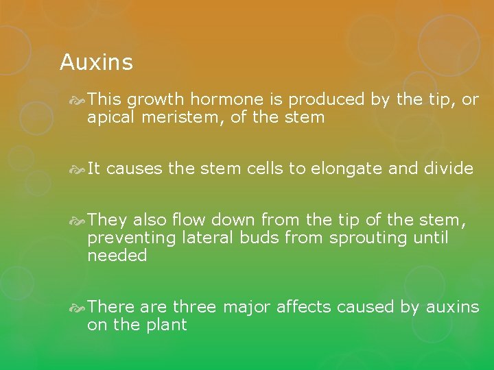 Auxins This growth hormone is produced by the tip, or apical meristem, of the