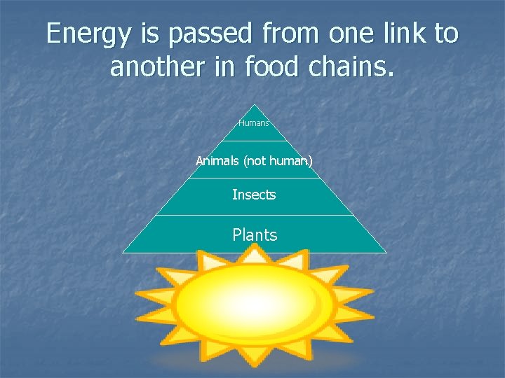 Energy is passed from one link to another in food chains. Humans Animals (not