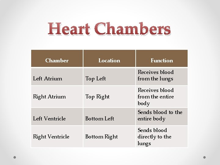 Heart Chambers Chamber Left Atrium Right Atrium Left Ventricle Right Ventricle Location Top Left Heart Chambers Chamber Left Atrium Right Atrium Left Ventricle Right Ventricle Location Top Left