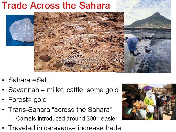 Trade Across the Sahara • • Sahara =Salt, Savannah = millet, cattle, some gold