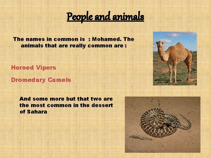 People and animals The names in common is : Mohamed. The animals that are