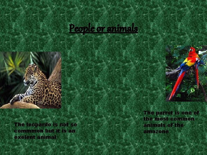 People or animals The leopardo is not so commmon but it is an exelent