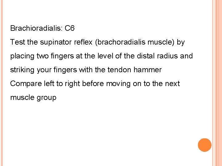Brachioradialis: C 6 Test the supinator reflex (brachoradialis muscle) by placing two fingers at