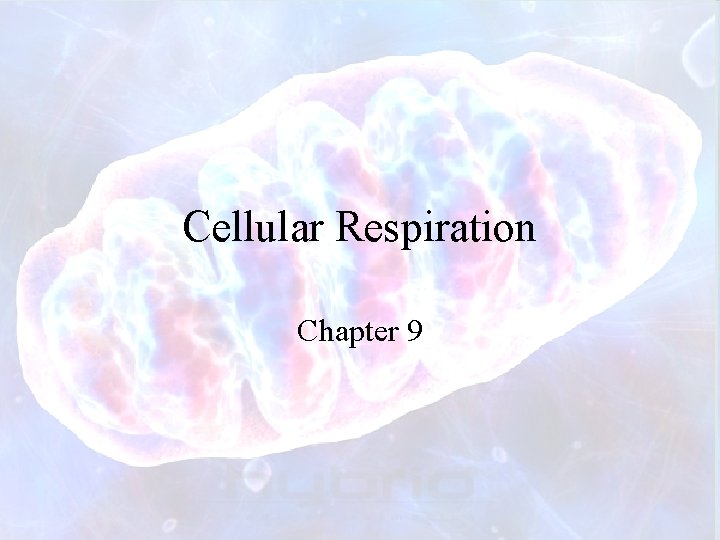 Cellular Respiration Chapter 9 