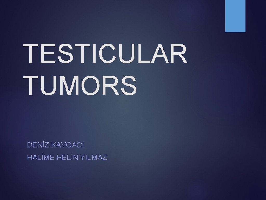 TESTICULAR TUMORS DENİZ KAVGACI HALİME HELİN YILMAZ 