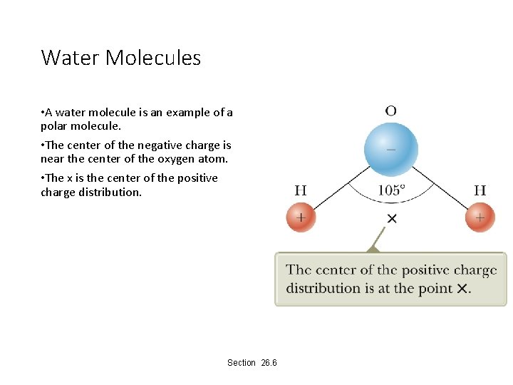 Water Molecules • A water molecule is an example of a polar molecule. •