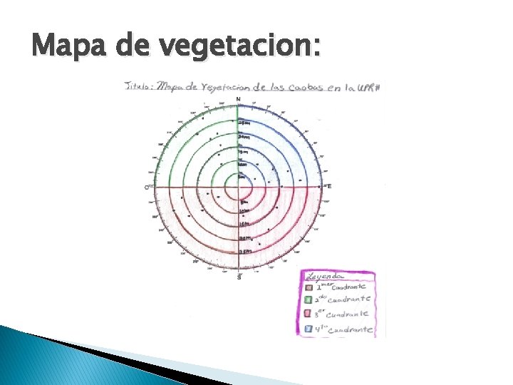 Mapa de vegetacion: 