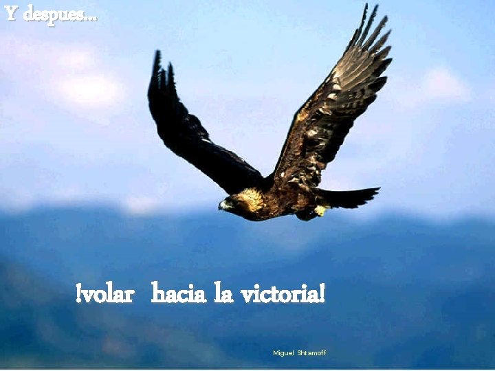 Y despues. . . !volar hacia la victoria! Miguel Shtamoff 