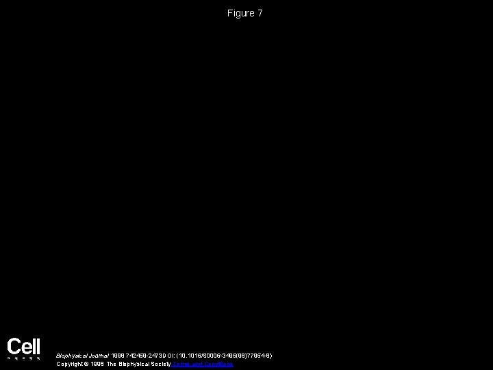 Figure 7 Biophysical Journal 1998 742459 -2473 DOI: (10. 1016/S 0006 -3495(98)77954 -8) Copyright