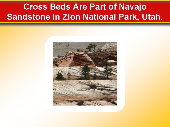 Cross Beds Are Part of Navajo Sandstone in Zion National Park, Utah. 