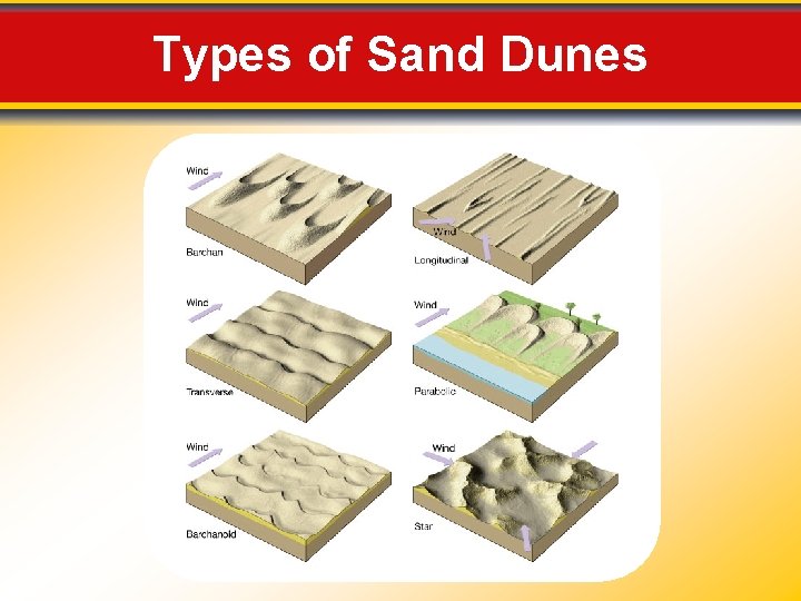 Types of Sand Dunes 