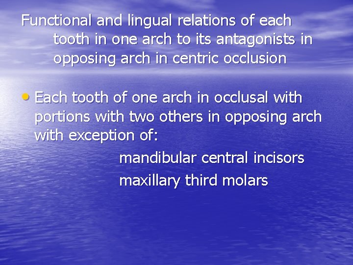 Functional and lingual relations of each tooth in one arch to its antagonists in