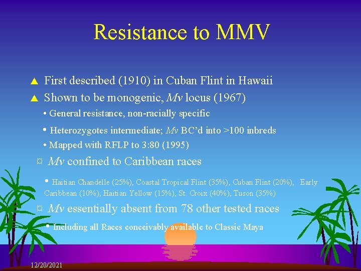 Resistance to MMV s s First described (1910) in Cuban Flint in Hawaii Shown