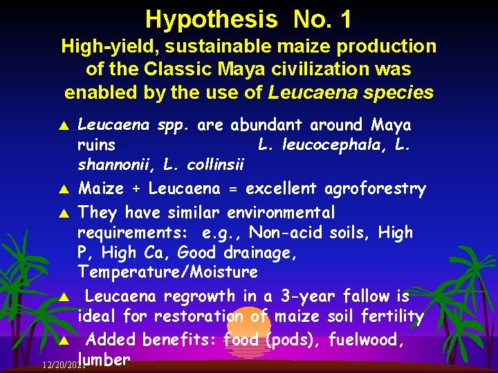 Hypothesis No. 1 High-yield, sustainable maize production of the Classic Maya civilization was enabled