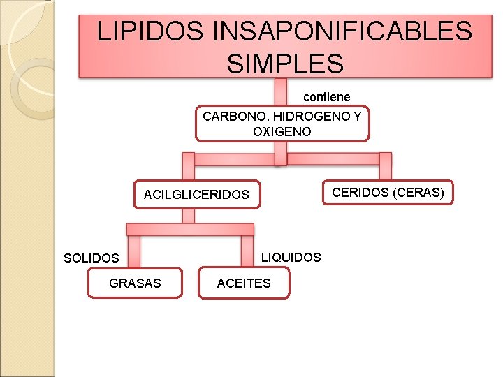 LIPIDOS INSAPONIFICABLES SIMPLES contiene CARBONO, HIDROGENO Y OXIGENO CERIDOS (CERAS) ACILGLICERIDOS SOLIDOS GRASAS LIQUIDOS