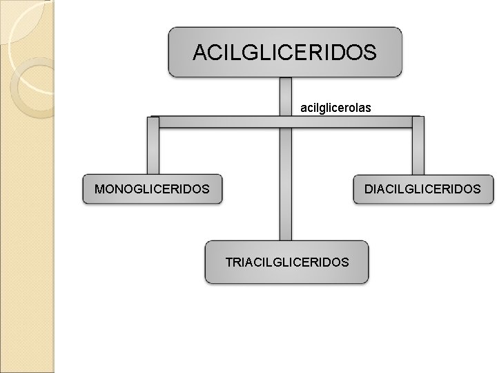 ACILGLICERIDOS acilglicerolas MONOGLICERIDOS DIACILGLICERIDOS TRIACILGLICERIDOS 