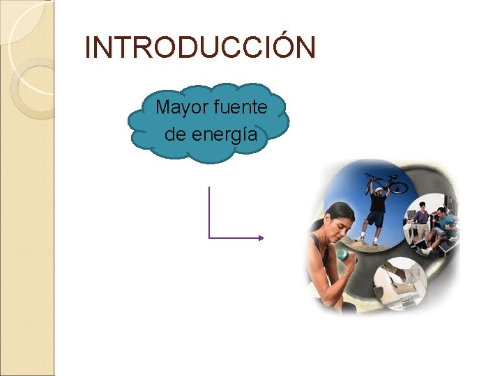 INTRODUCCIÓN Mayor fuente de energía PARA EL CUERPO 