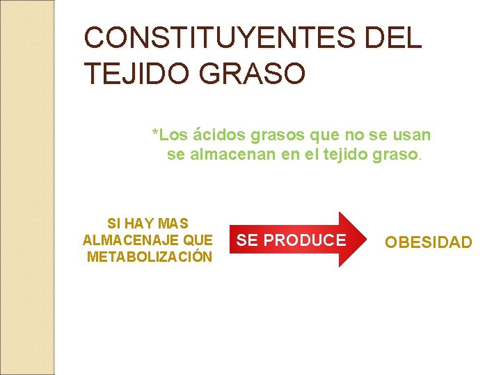 CONSTITUYENTES DEL TEJIDO GRASO *Los ácidos grasos que no se usan se almacenan en