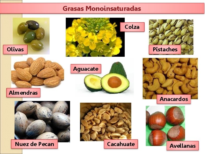 Grasas Monoinsaturadas Colza Olivas Pistaches Aguacate Almendras Nuez de Pecan Anacardos Cacahuate Avellanas 