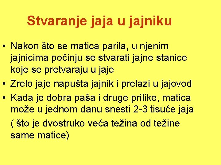 Stvaranje jaja u jajniku • Nakon što se matica parila, u njenim jajnicima počinju