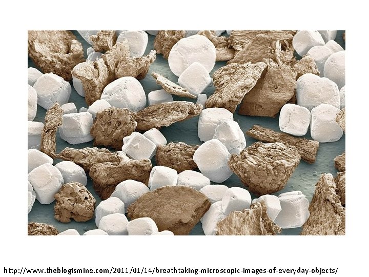 http: //www. theblogismine. com/2011/01/14/breathtaking-microscopic-images-of-everyday-objects/ 