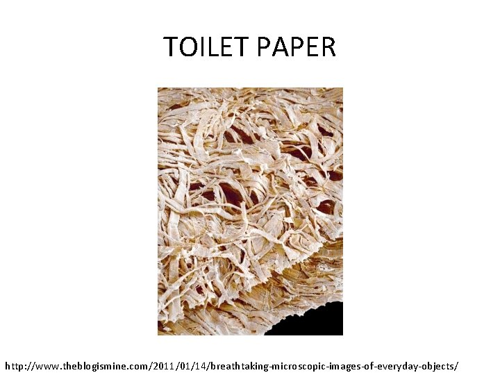 TOILET PAPER http: //www. theblogismine. com/2011/01/14/breathtaking-microscopic-images-of-everyday-objects/ 