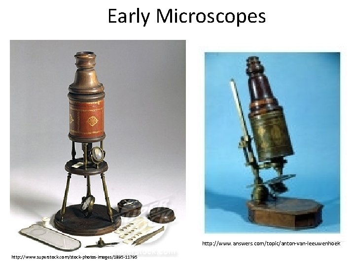 Early Microscopes http: //www. answers. com/topic/anton-van-leeuwenhoek http: //www. superstock. com/stock-photos-images/1895 -11795 