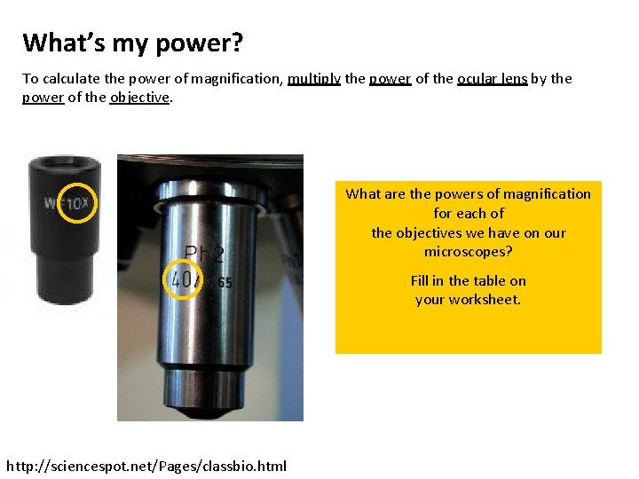 What’s my power? To calculate the power of magnification, multiply the power of the
