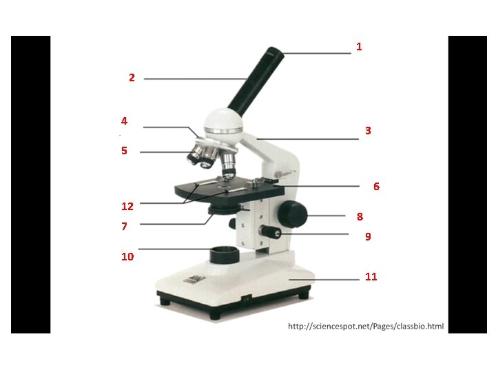 1 2 4 3 5 6 12 7 8 9 10 11 