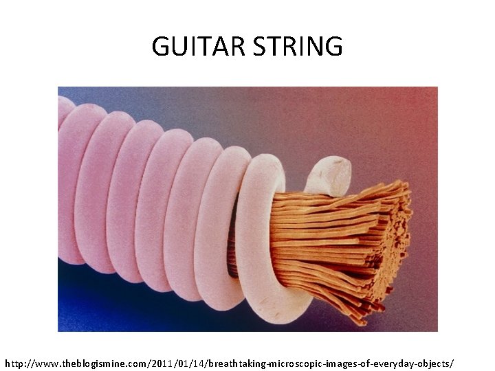 GUITAR STRING http: //www. theblogismine. com/2011/01/14/breathtaking-microscopic-images-of-everyday-objects/ 