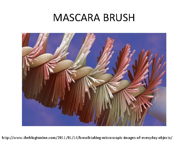 MASCARA BRUSH http: //www. theblogismine. com/2011/01/14/breathtaking-microscopic-images-of-everyday-objects/ 