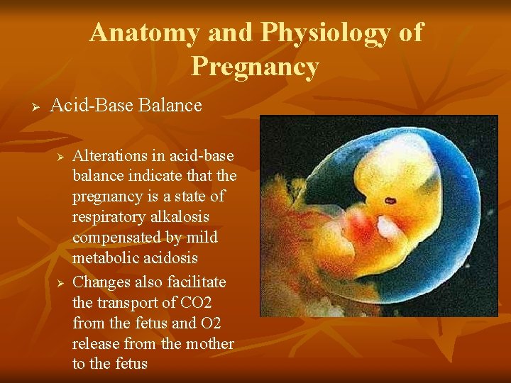 Anatomy and Physiology of Pregnancy Ø Acid-Base Balance Ø Ø Alterations in acid-base balance