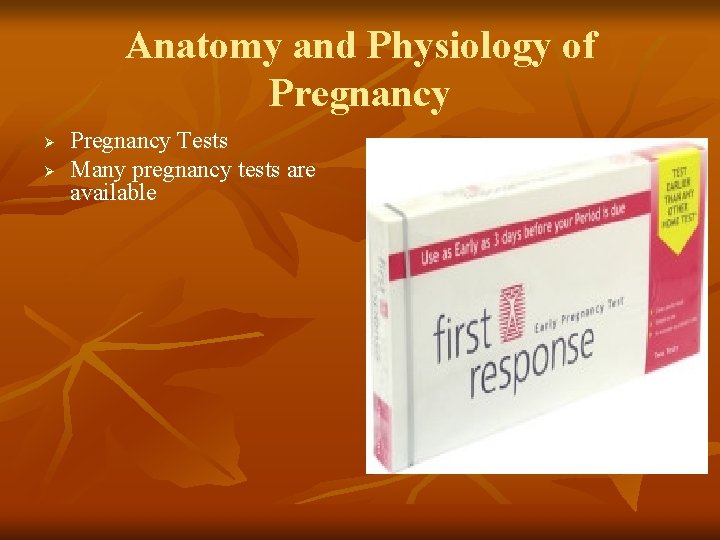 Anatomy and Physiology of Pregnancy Ø Ø Pregnancy Tests Many pregnancy tests are available