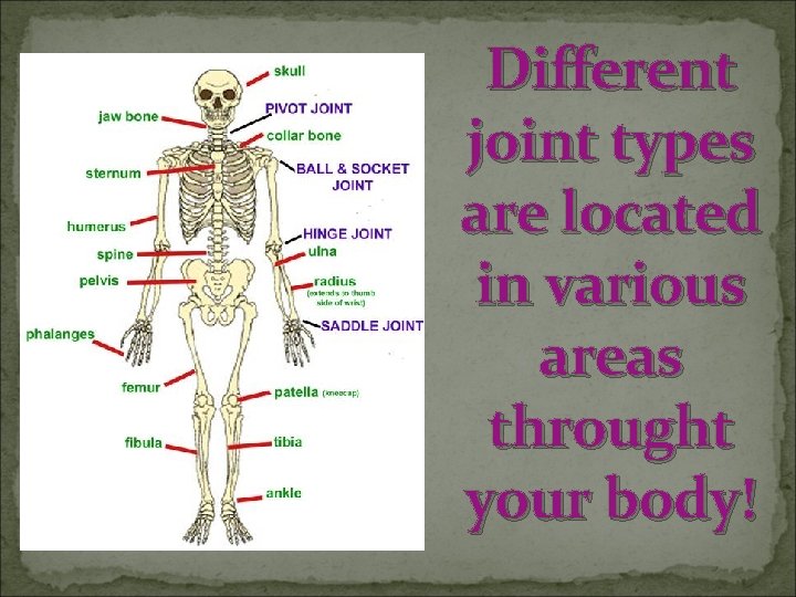 Different joint types are located in various areas throught your body! 