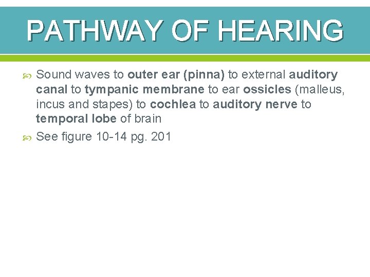 PATHWAY OF HEARING Sound waves to outer ear (pinna) to external auditory canal to