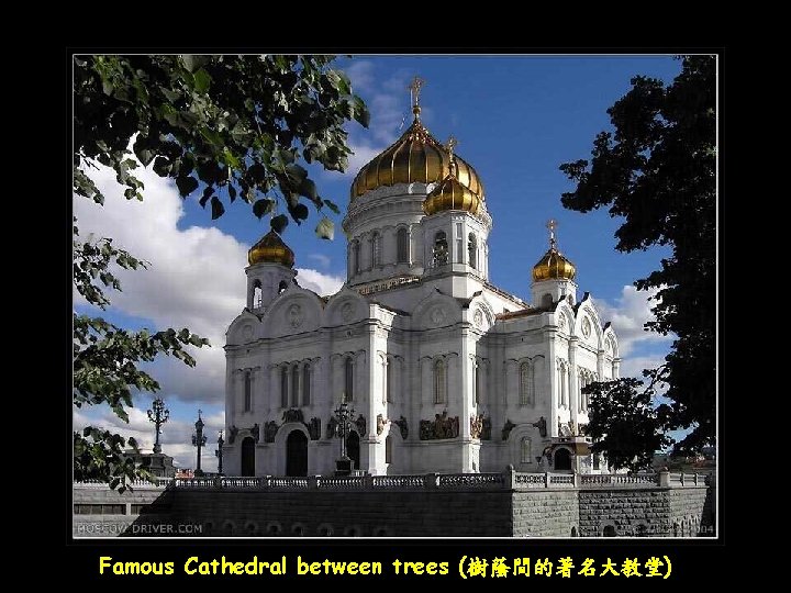 Famous Cathedral between trees (樹蔭間的著名大教堂) 