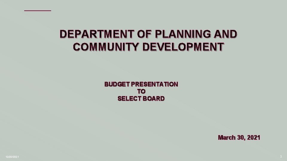 DEPARTMENT OF PLANNING AND COMMUNITY DEVELOPMENT BUDGET PRESENTATION