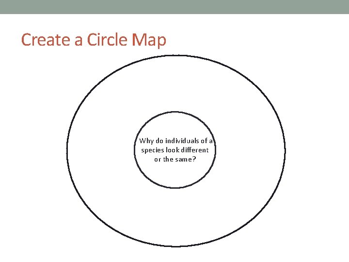 Create a Circle Map Why do individuals of a species look different or the