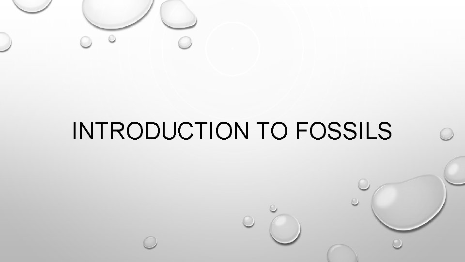 INTRODUCTION TO FOSSILS 
