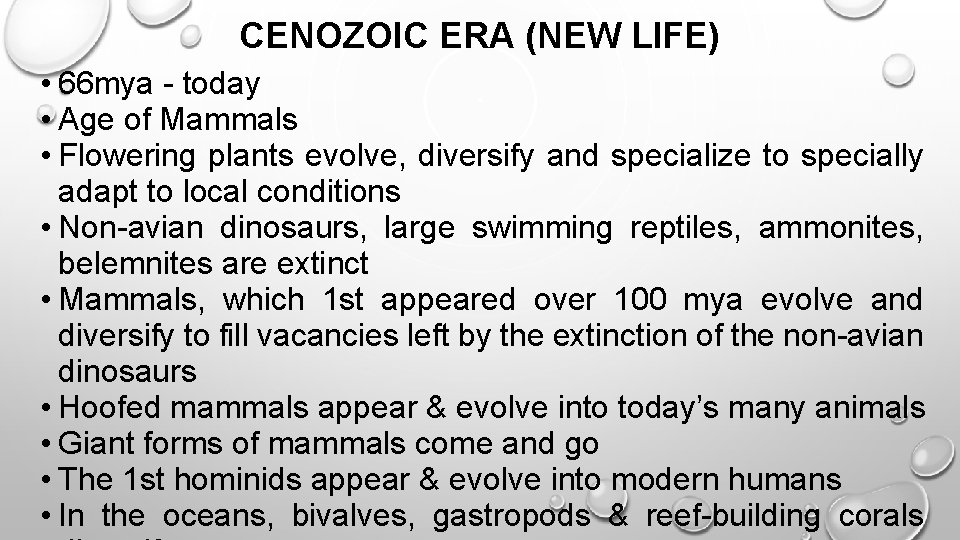 CENOZOIC ERA (NEW LIFE) • 66 mya - today • Age of Mammals •