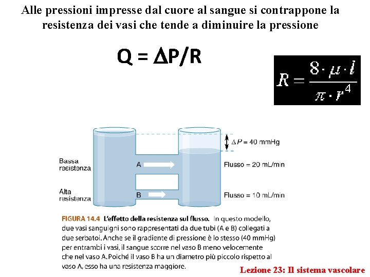 Alle pressioni impresse dal cuore al sangue si contrappone la resistenza dei vasi che