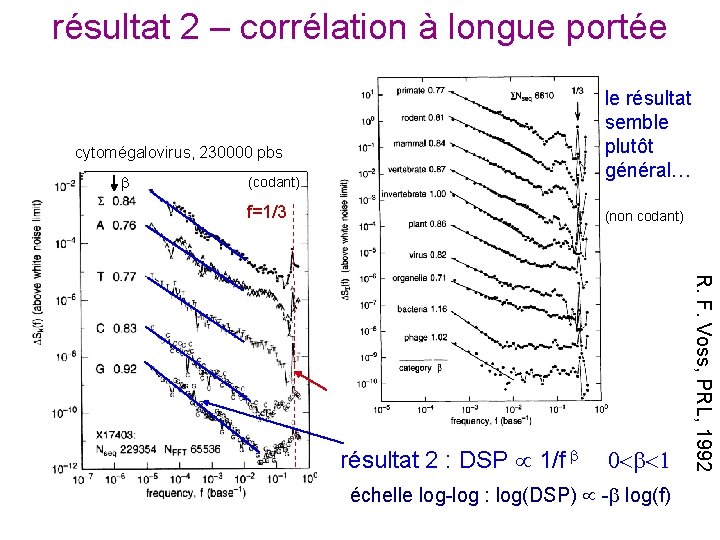 résultat 2 – corrélation à longue portée cytomégalovirus, 230000 pbs (codant) f=1/3 le résultat